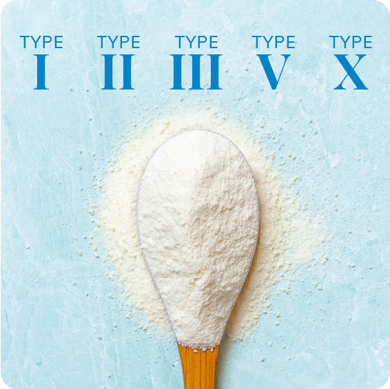 Multi-Collagen Peptides