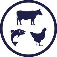 All 5 Types of Collagens