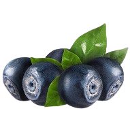 Bilberry Extract