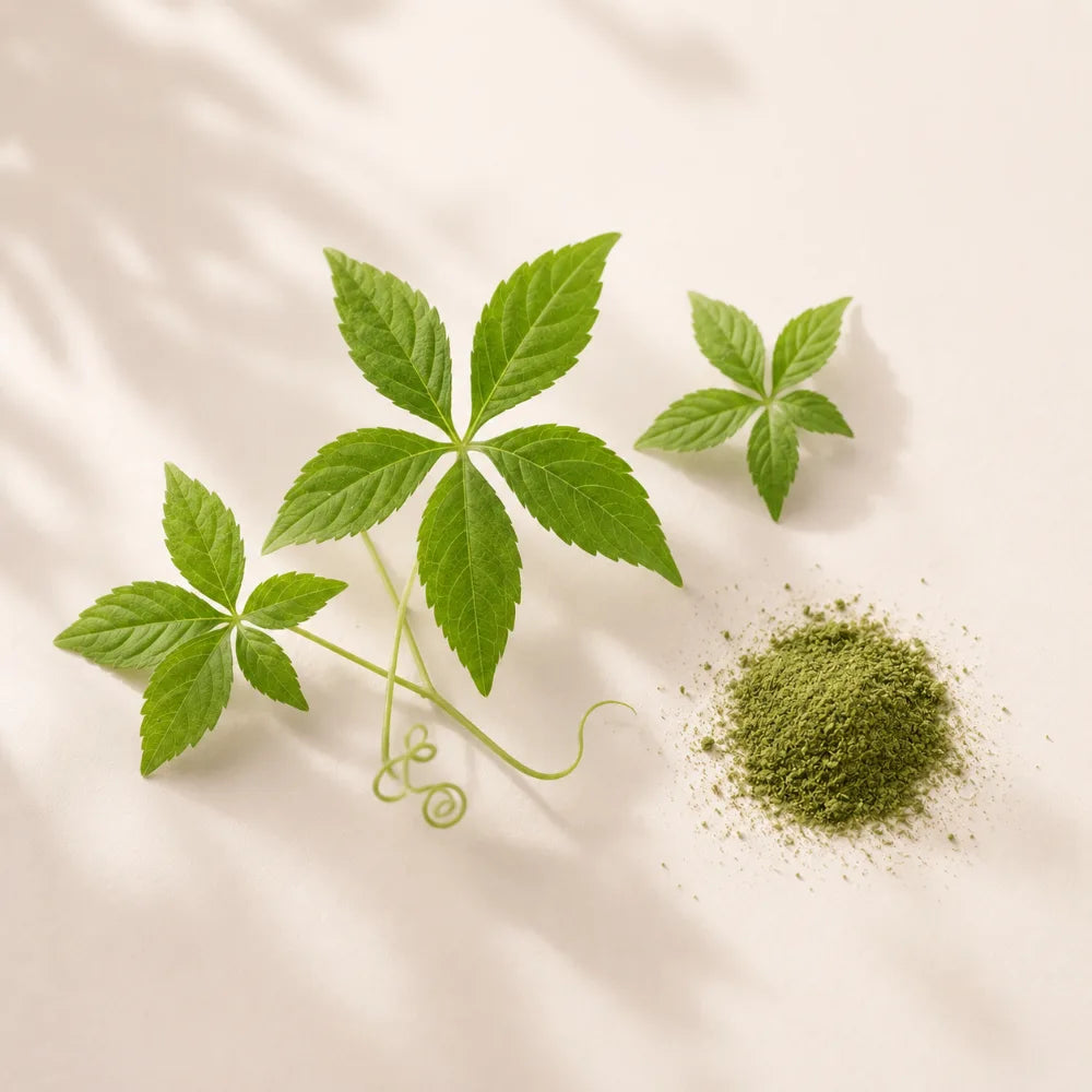 Gynostemma leaves and powder