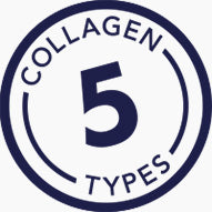 All 5 Types of Collagen