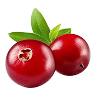 Cranberry Extract